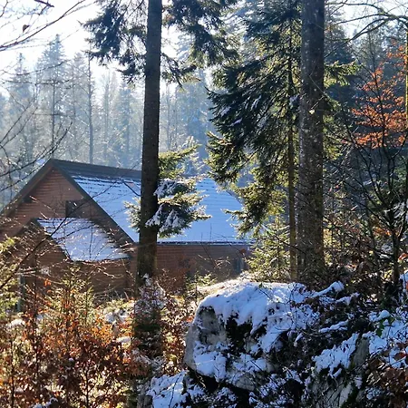 Karstwood Forest Retreat *