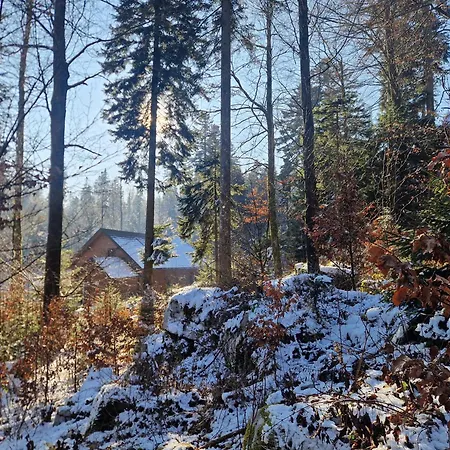 Karstwood Forest Retreat Dağ evi *